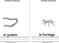 Worm, Ant