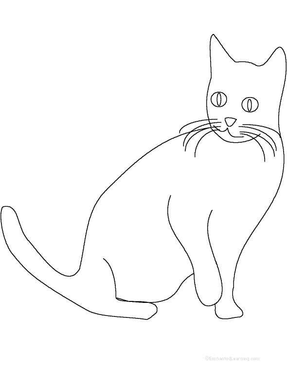 cat