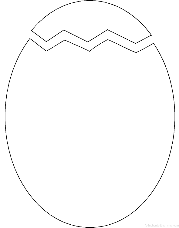 Egg Diagram Worksheet Diagram Media