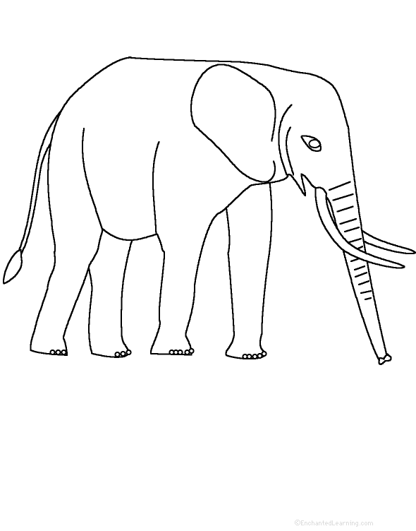 Search result: 'Adjectives Describing An Elephant - Printable Worksheet'