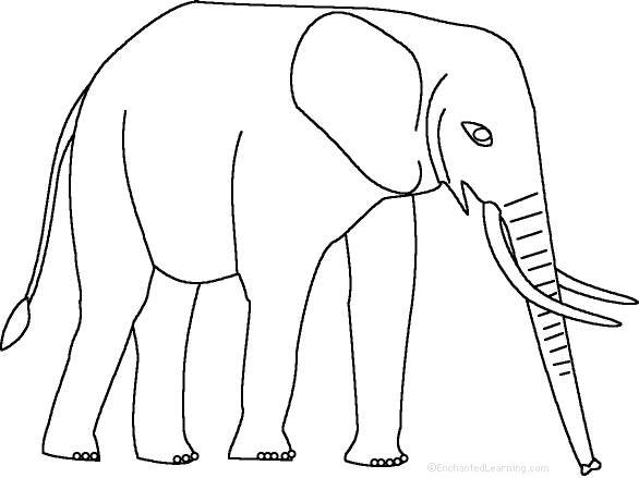 Search result: 'Elephant: Fact or Opinion?, A Worksheet'