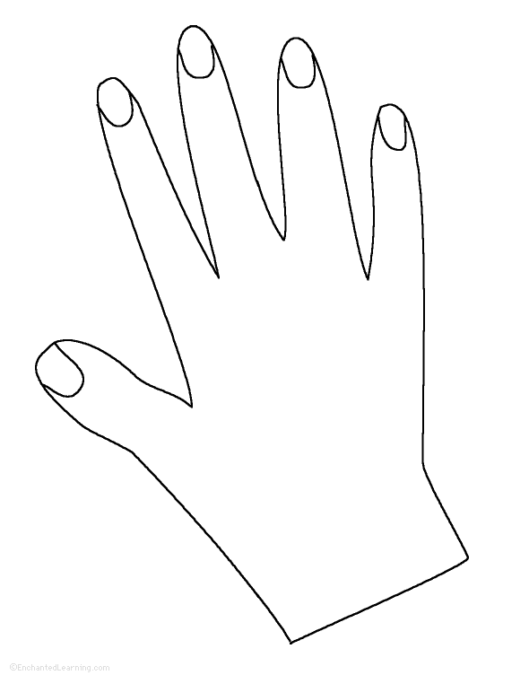 hands-template