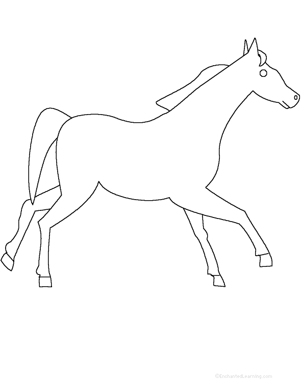 Search result: 'Adjectives Describing A Horse - Printable Worksheet'