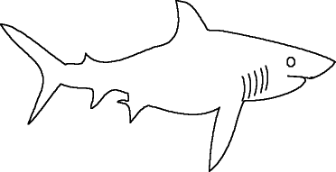 Shark