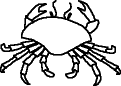 crab