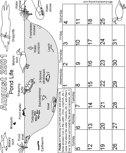 Search result: 'August Calendar 2001 Biomes'