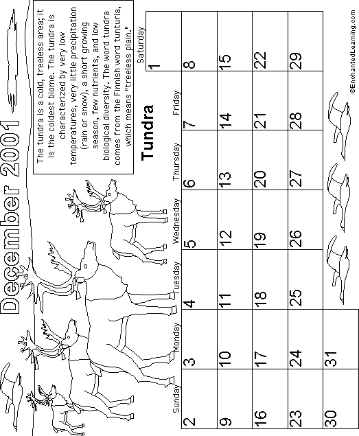 December Calendar 2001 Biomes: EnchantedLearning com