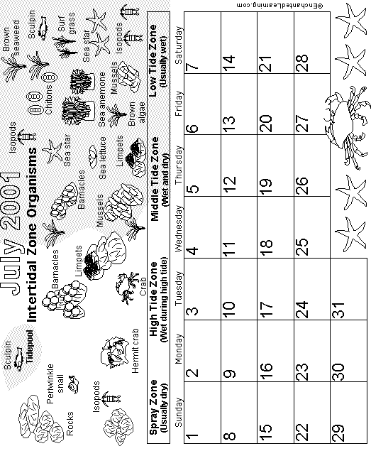 Search result: 'July Calendar 2001 Biomes'