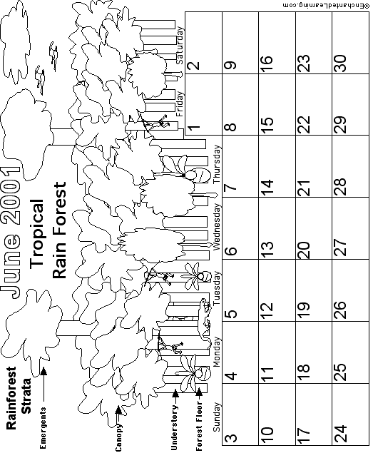 June Calendar 2001 Biomes: EnchantedLearning com