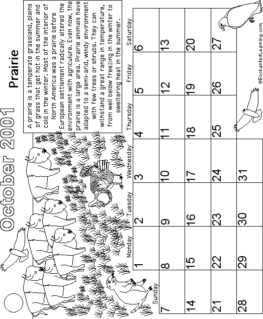 Search result: 'October Calendar 2001 Biomes'