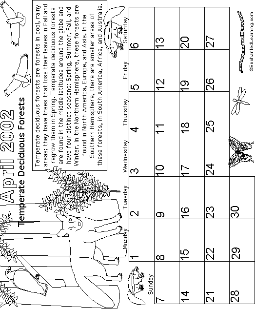 Search result: 'April Calendar 2002 Biomes'