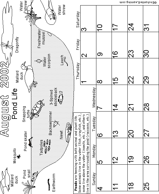 Search result: 'August Calendar 2002 Biomes'