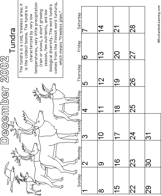 Search result: 'December Calendar 2002 Biomes'