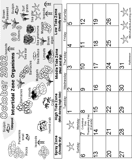 October Calendar 2002 Biomes: EnchantedLearning com