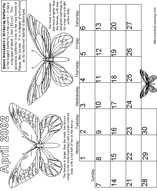 Search result: 'April Calendar 2002 - Butterfly'