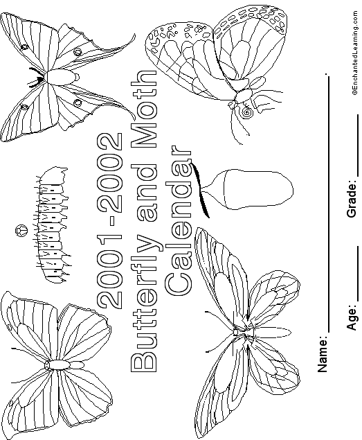 Search result: 'Calendar Cover 2001-2002 Butterfly'