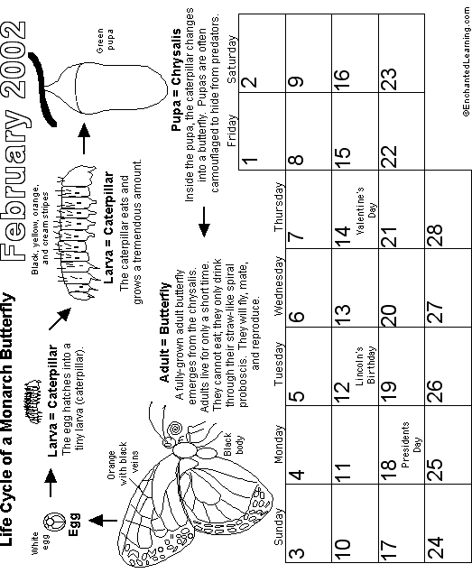 February Calendar 2002 Butterfly: EnchantedLearning com