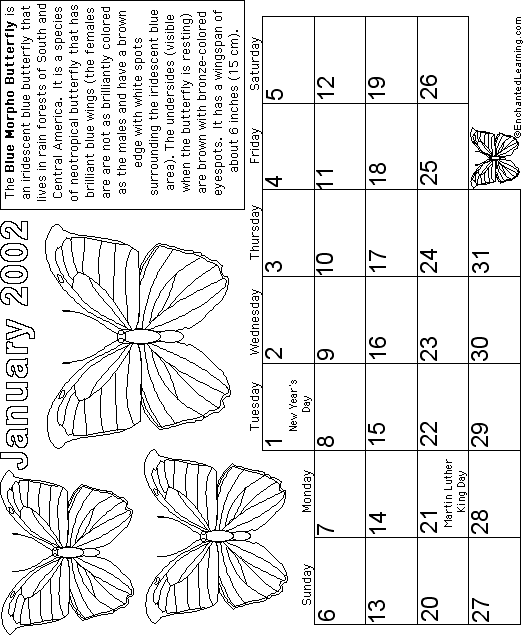 Search result: 'January Calendar 2002 -Butterfly'