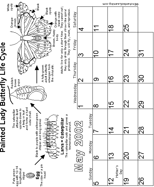 May Calendar 2002 Butterfly: EnchantedLearning com