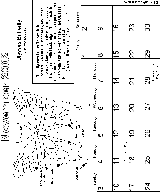 Search result: 'November Calendar 2002 -Butterfly'