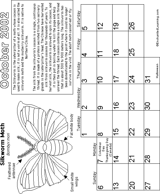 Search result: 'October Calendar 2002 - Butterfly'