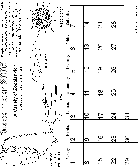 December Calendar 2002 Watery World: EnchantedLearning com