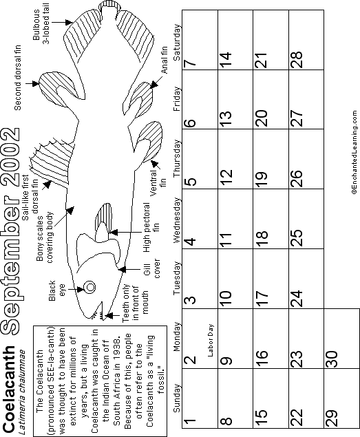 Search result: 'September Calendar 2002 -Watery World'