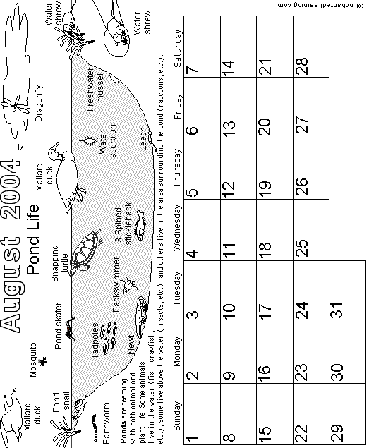 August Calendar 2004 Biomes: EnchantedLearning com