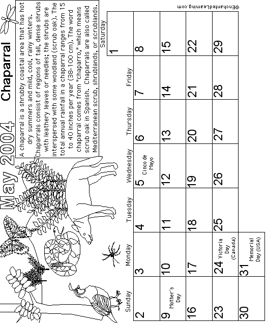 May Calendar 2004 Biomes: EnchantedLearning com