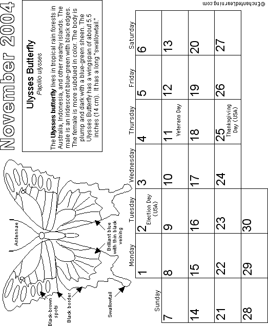 November Calendar 2004 Butterfly: EnchantedLearning com