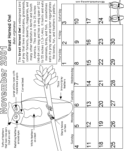 November Calendar 2001 Nocturnal Animals: EnchantedLearning com