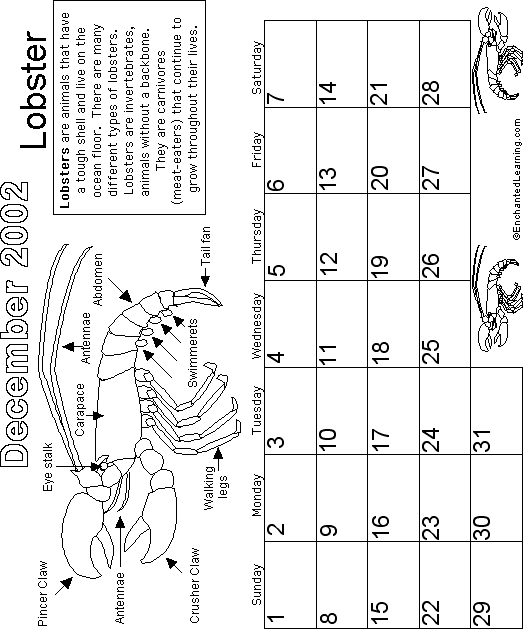 December Calendar 2002 Nocturnal Animals: EnchantedLearning com