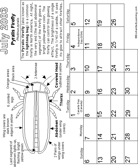 July Calendar 2003 Nocturnal Animals: EnchantedLearning com