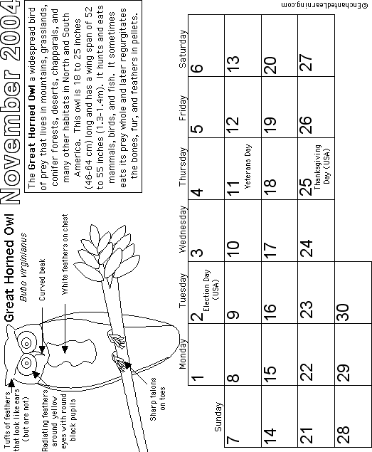 November Calendar 2004 Nocturnal Animals: EnchantedLearning com