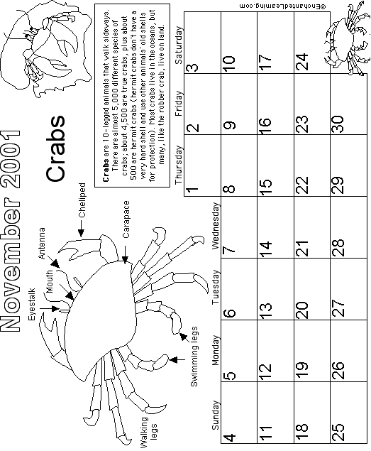 November Calendar 2001 Watery World: EnchantedLearning com