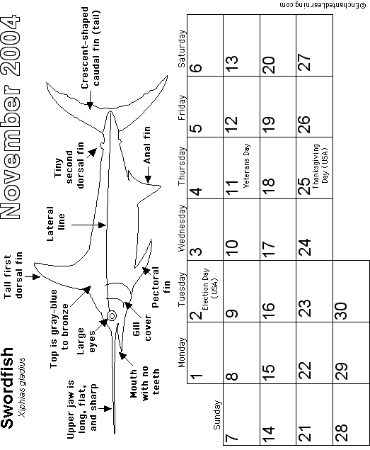 November Calendar 2004 Watery World: EnchantedLearning com