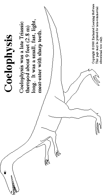 Coelophysis