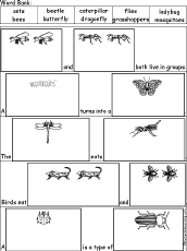 Insect Words - Picture Cloze