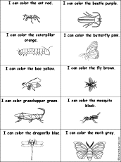 Drawing Worksheets: Insects at EnchantedLearning.com