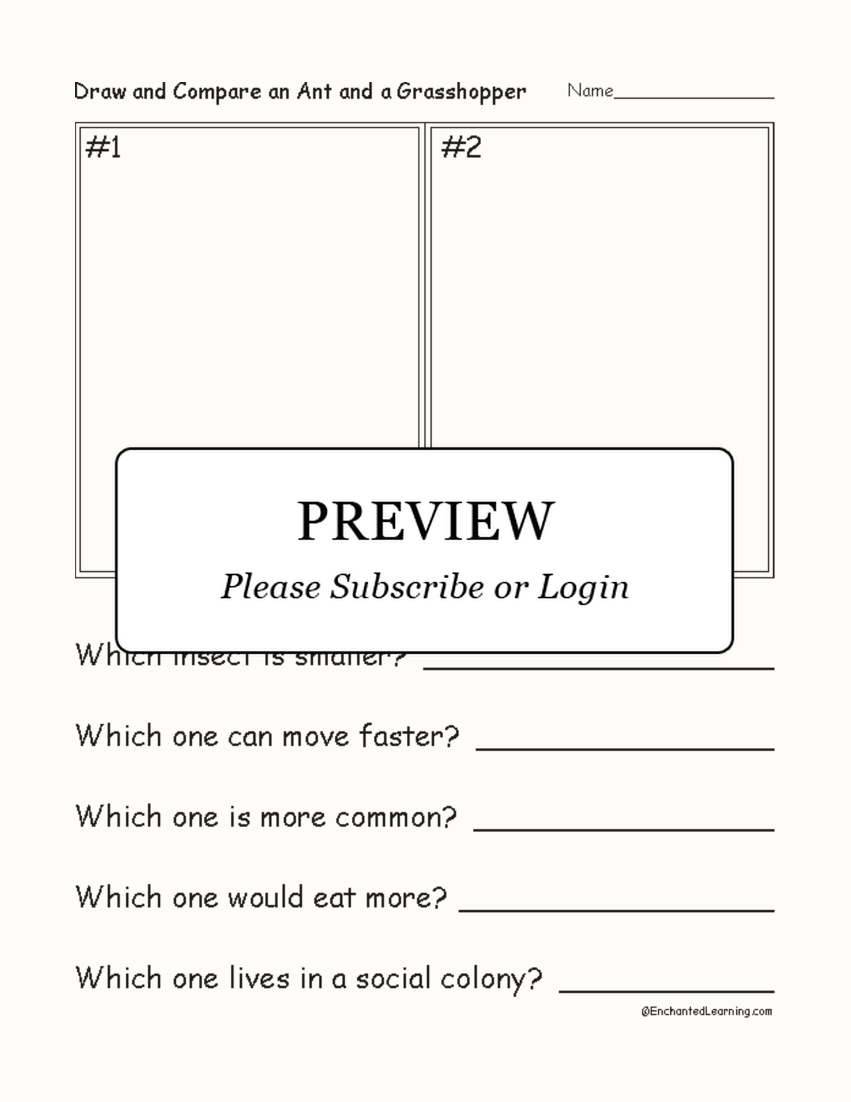 Draw and Compare - An Ant and A Grasshopper interactive worksheet page 1