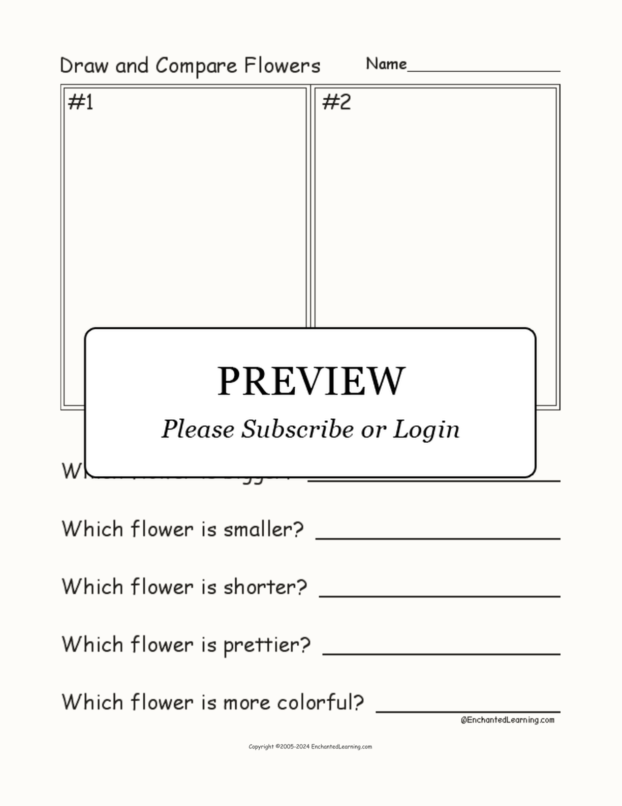 Draw and Compare Flowers interactive worksheet page 1