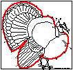 Thanksgiving Drawing Worksheets - EnchantedLearning.com