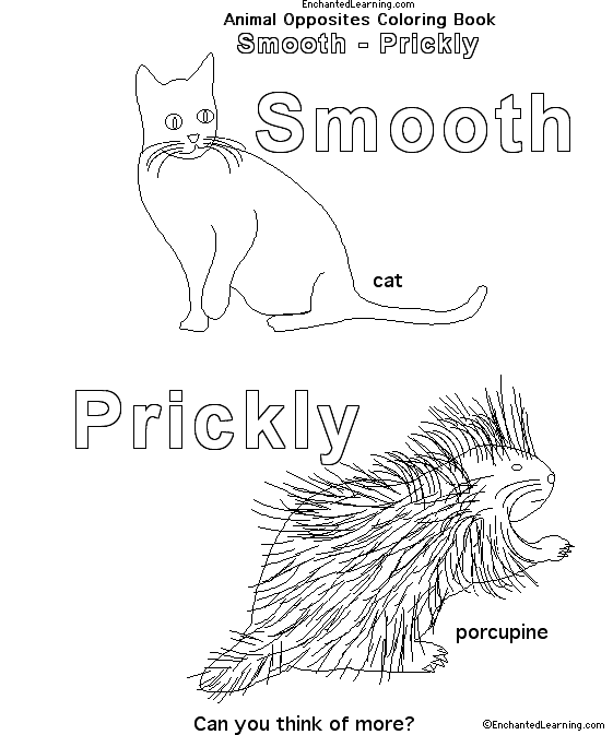 Search result: 'Animal Opposites Coloring Book: smooth/prickly'