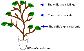 The finished family tree craft.