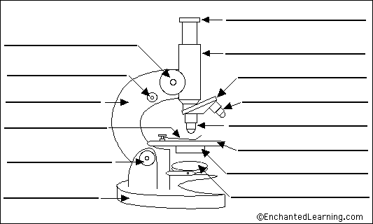 Blank microscope diagram