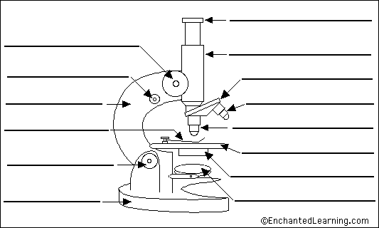 parts of a microscope labeled