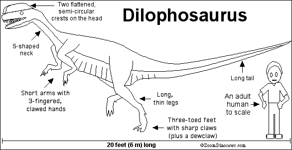 Search result: 'Dilophosaurus Printout'