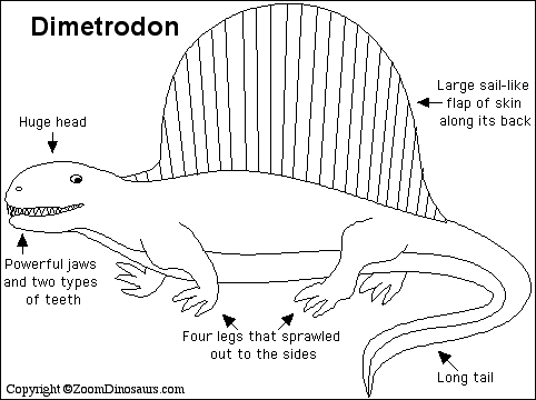 Search result: 'Dimetrodon Printout'