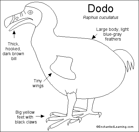 Search result: 'Dodo Printout'