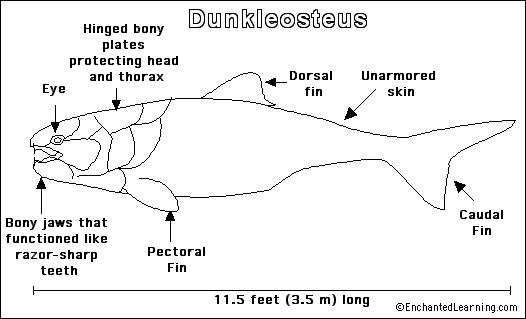 Dunkleosteus